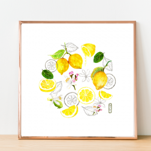 Lámina Limones