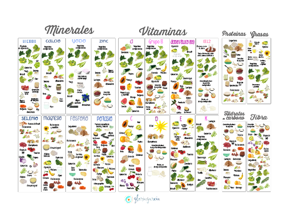 Lámina Póster de nutrientes - Imagen 2