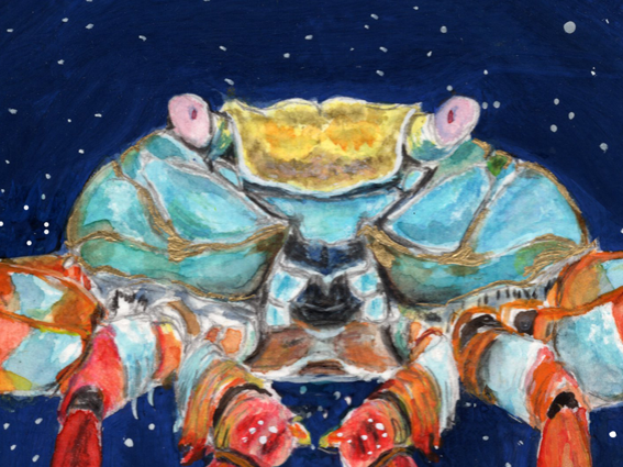 Lámina Cáncer - Imagen 3