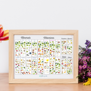 Lámina Pòster d'aliments