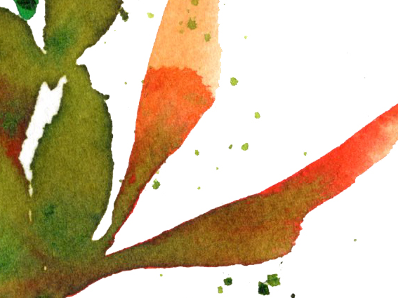 Lámina ilustrada Naturaleza Zen 4 - Imagen 2