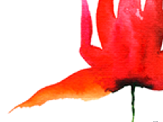 Lámina ilustrada Naturaleza Zen 5 - Imagen 2