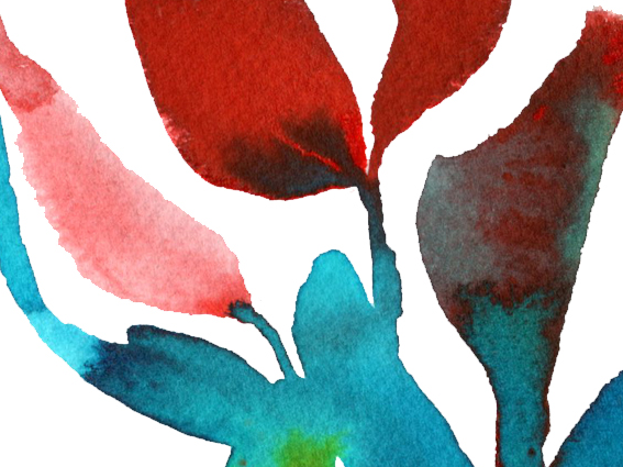 Lámina ilustrada Naturaleza Zen 6 - Imagen 3